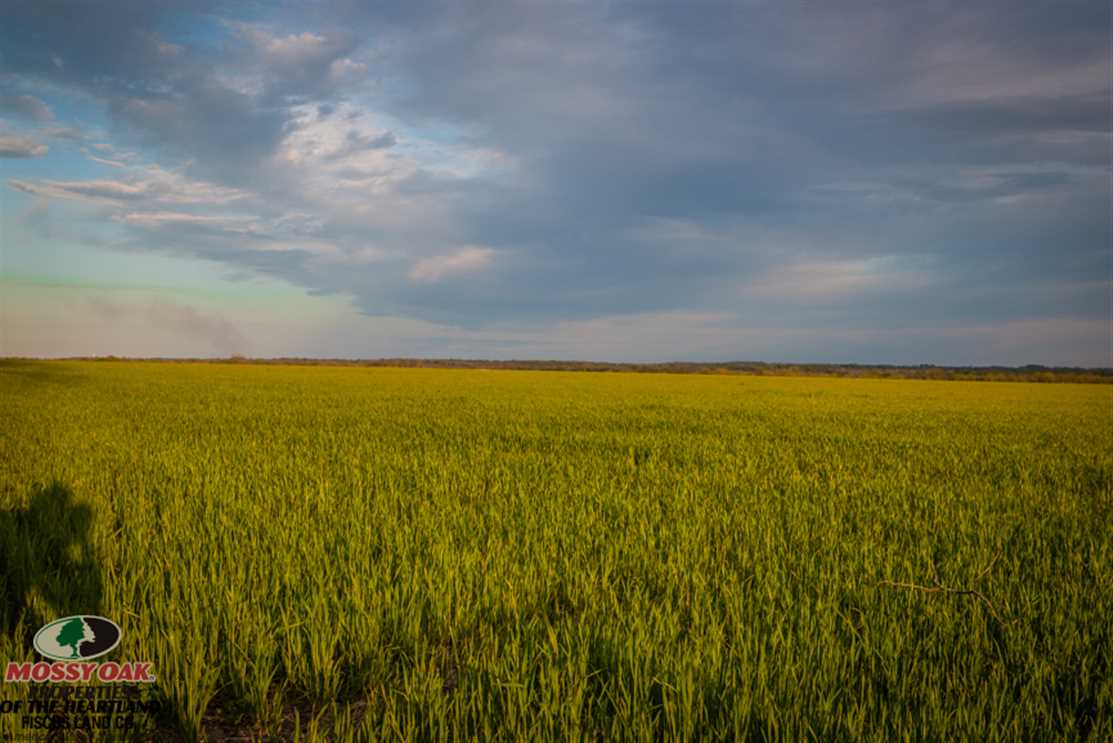 Farmland and   property for sale on The Land Market