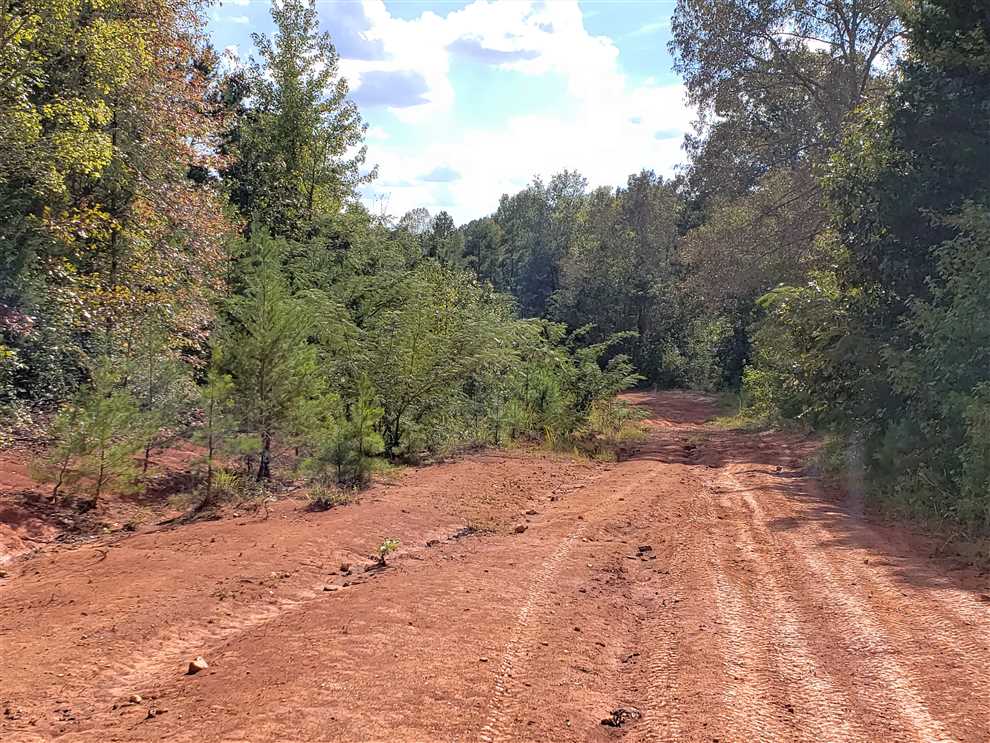 york County, South Carolina property for sale