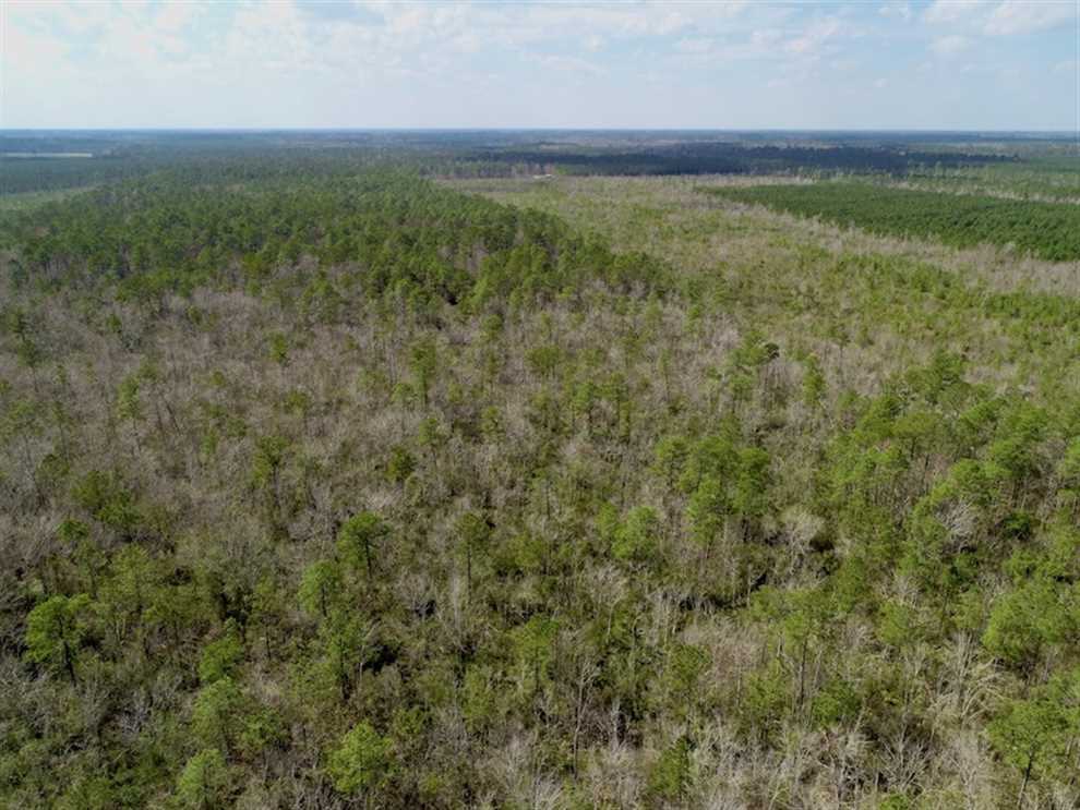 Houses and land for sale in North Carolina