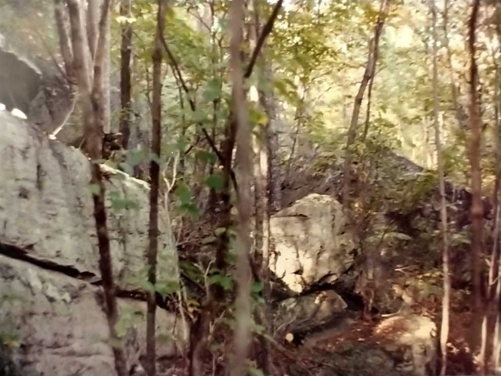 Houses and land for sale in Tennessee