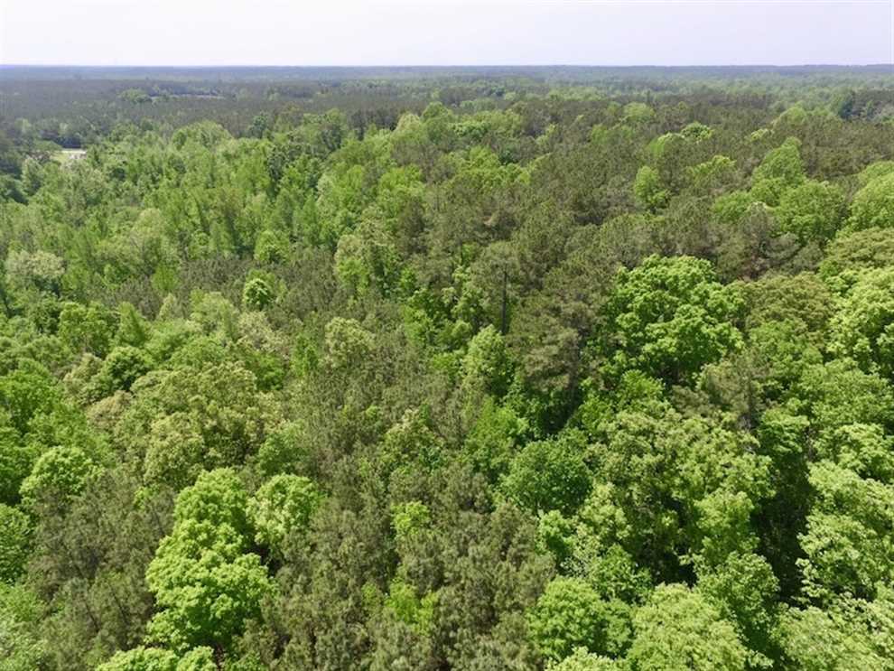 Land for sale to buy in 23868 zip code