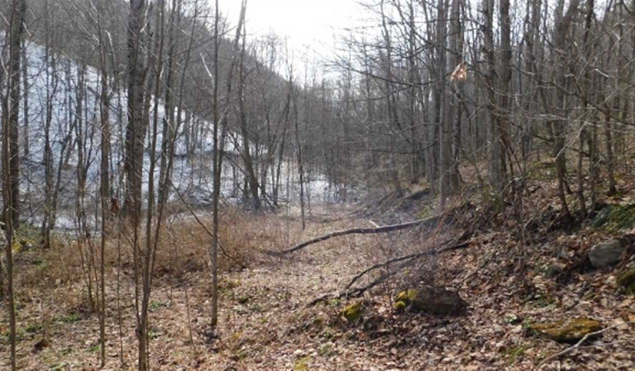 Recreational and   property for sale on The Land Market