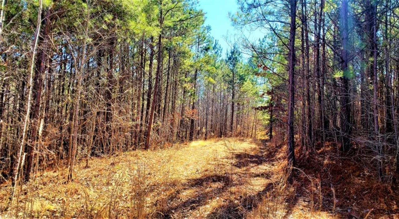 Land for sale to buy in 38375 zip code