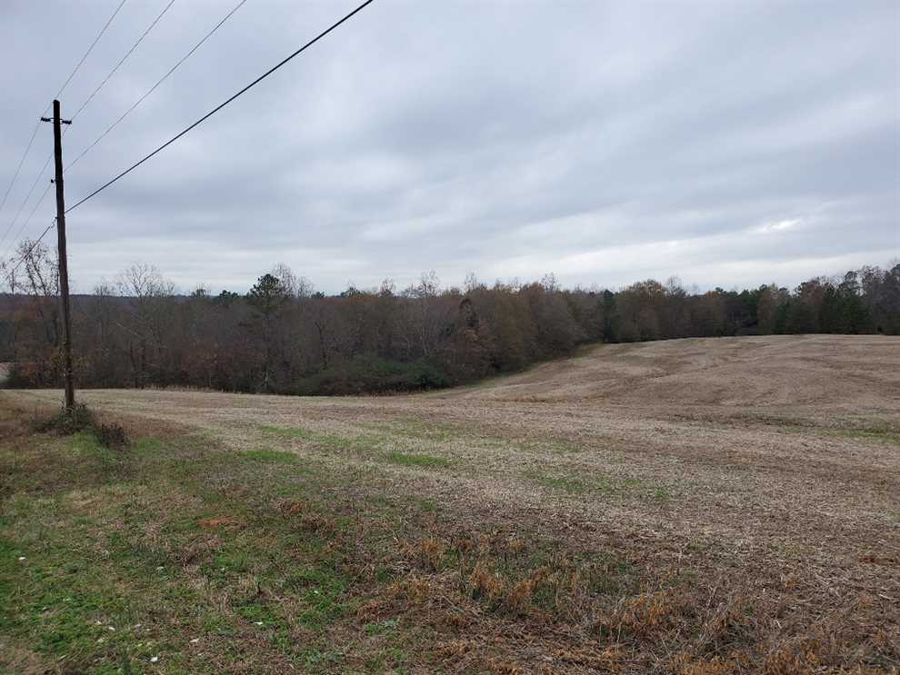 Land for sale at W Zion Church Rd.
