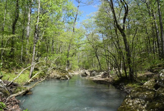 240 Acres of Land for Sale in van buren County Arkansas