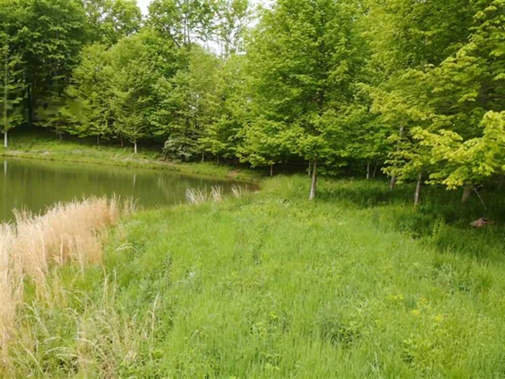 141 Acres of Land for Sale in ohio County, Indiana