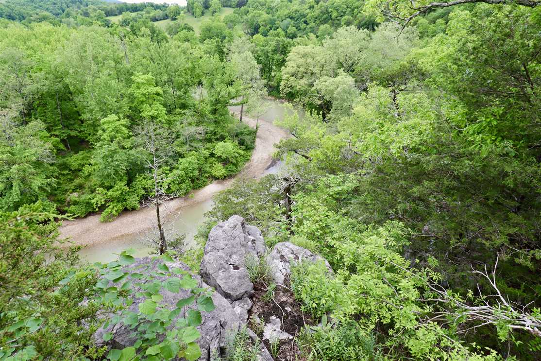 Little Buffalo River 36.92 acres Jasper, Arkansas Real estate listing