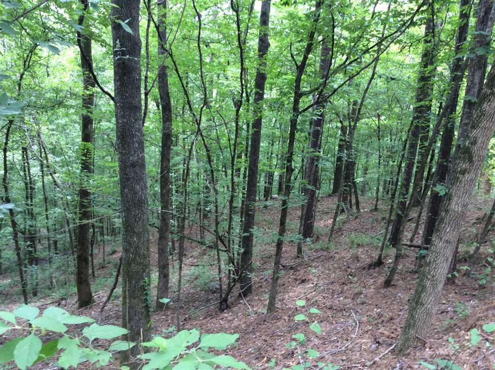 334 Acres of Recreational land for sale in Harrisonburg, catahoula County, Louisiana