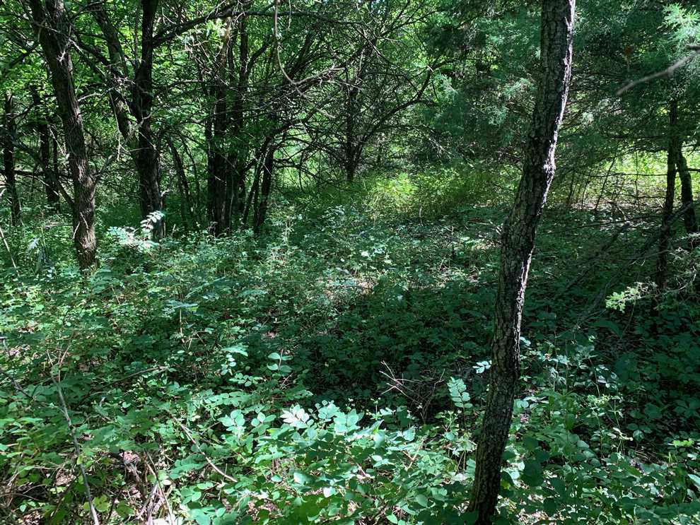 property for sale on The Land Market