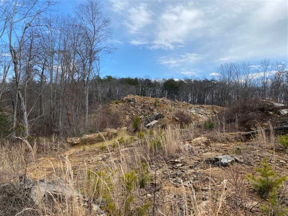Land for sale at 20.33 Groves Road 44.6+/-acres Mill Dam Road