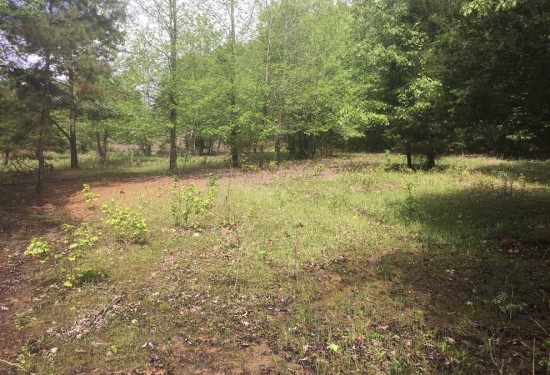 17 Acres of Land for Sale in sharp County Arkansas