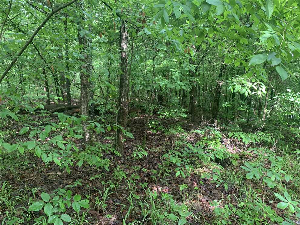 1+/- Acre RV/Mobile Build Site overlooking Little Red Real estate listing