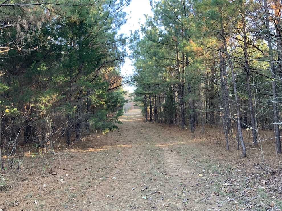 224 Acres of Recreational land for sale in Henry, henry County, Tennessee