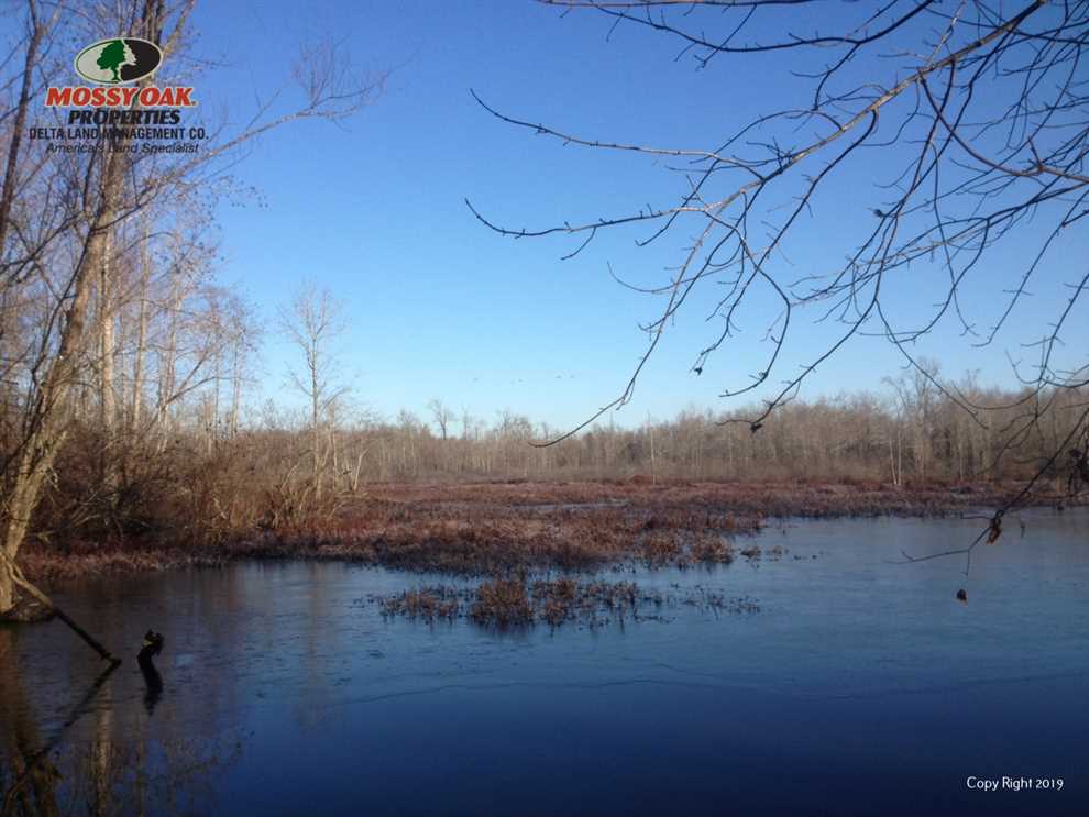 1104 +/- Acres in Saline River Bottoms Real estate listing