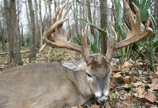 6350 Acres of Land for Sale in adams County Mississippi