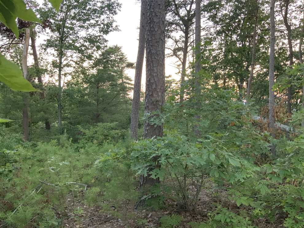 Land for sale to buy in 37185 zip code
