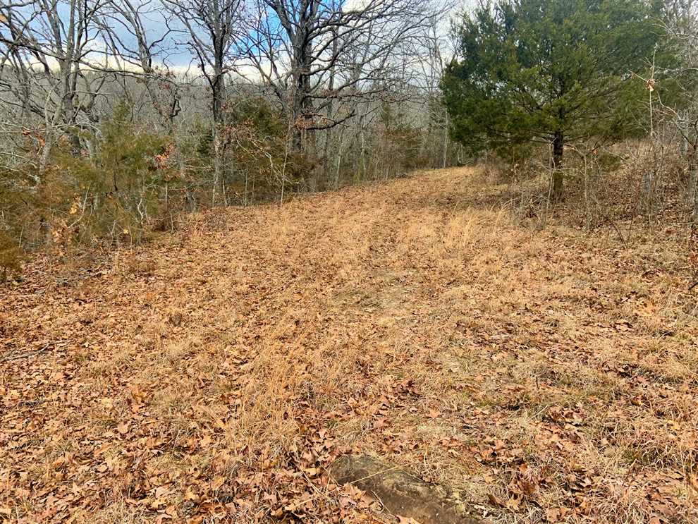 Recreational real estate available to buy