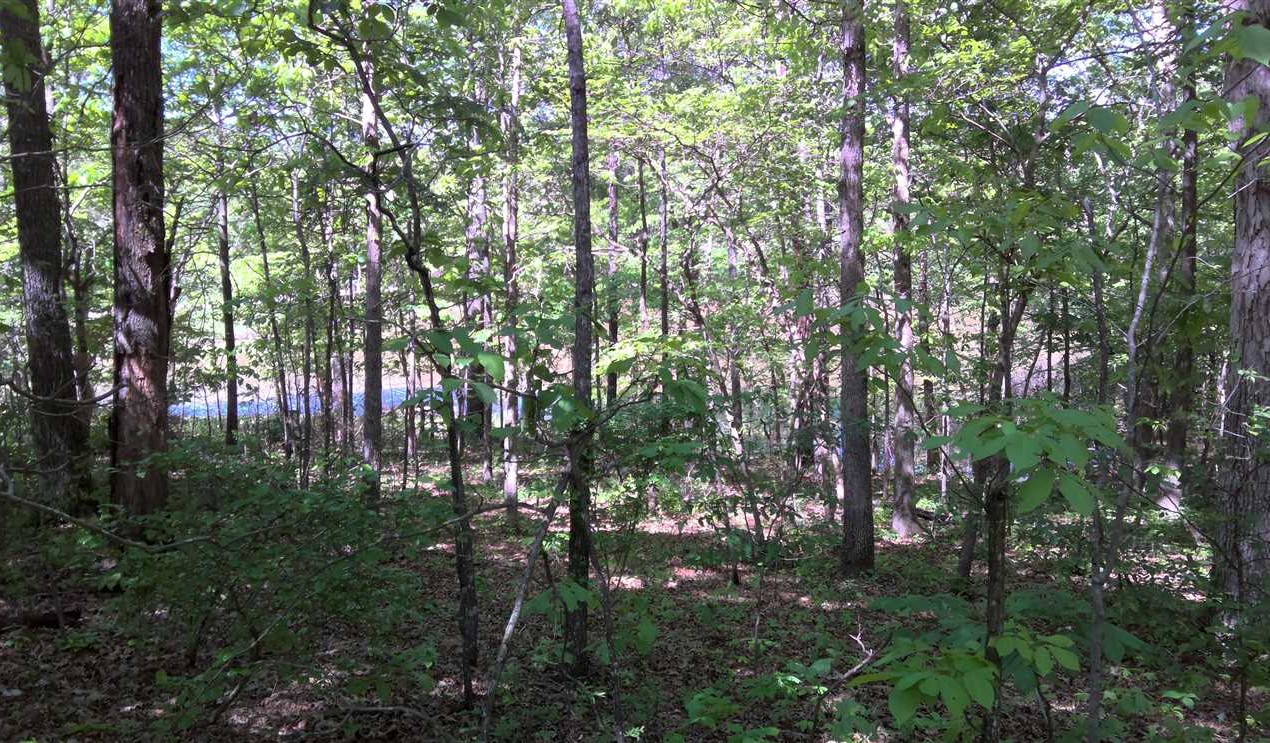 Ozark Acres land available for purchase
