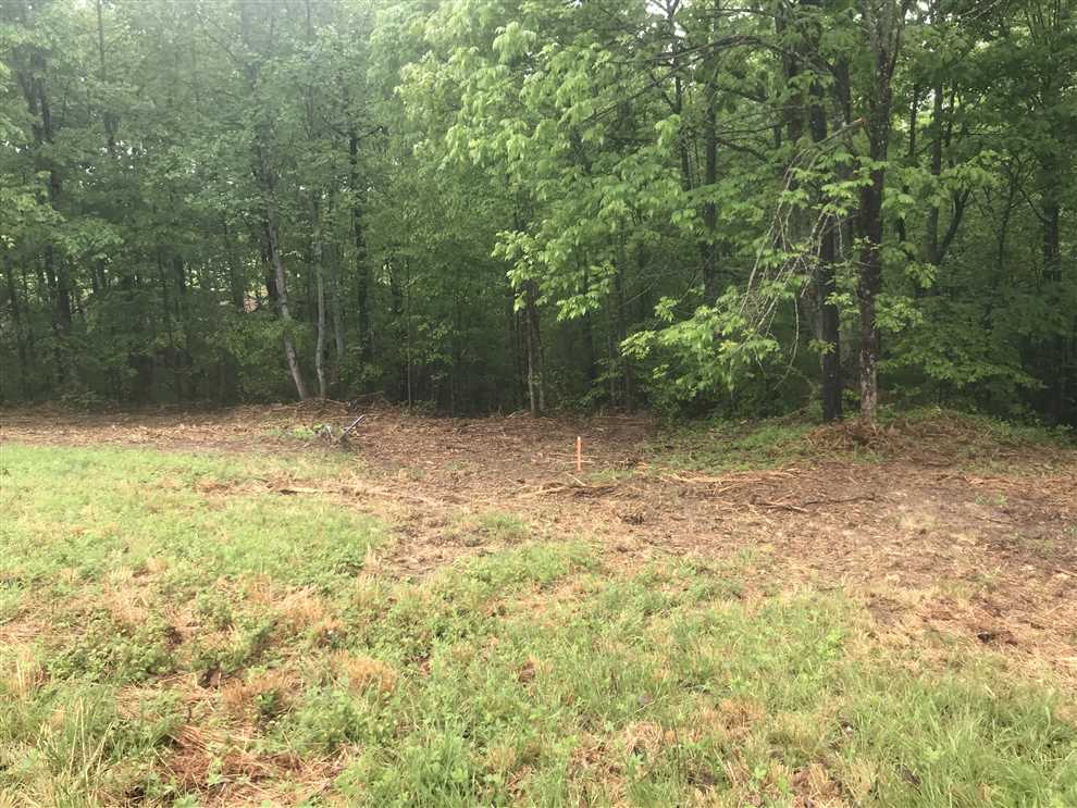 Beautiful 3.81 Acre lot located just minutes from Kentucky Lake! Real estate listing