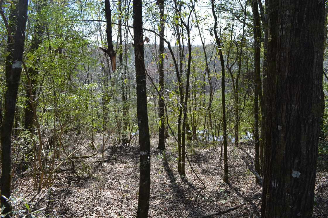 13 Acres of Land for sale in autauga County, Alabama