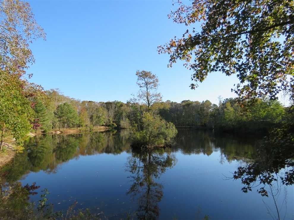 194 Acres of Residential land for sale in Lumberton, robeson County, North Carolina