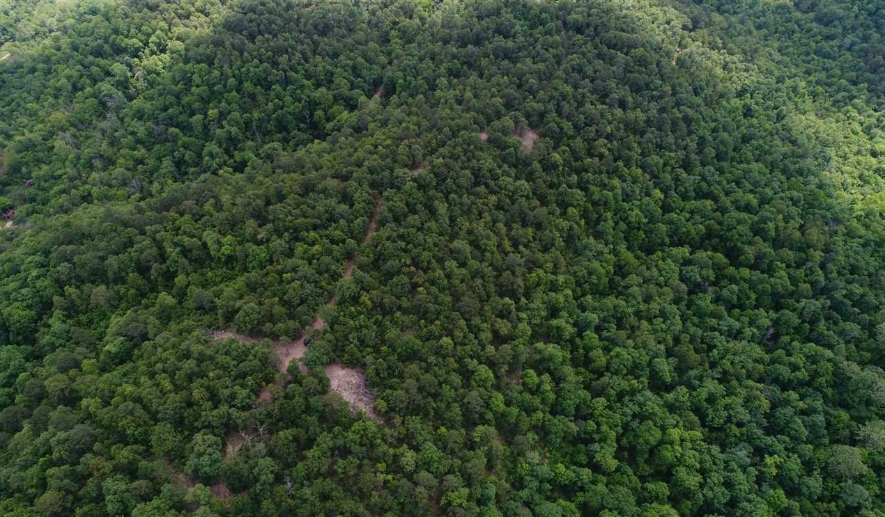 78 Acres of Land for sale in carroll County, Arkansas