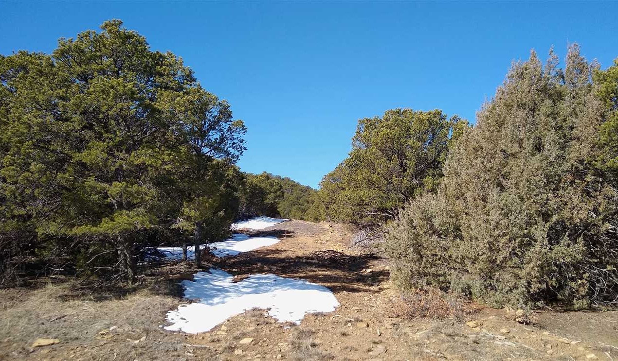 Residential land real estate to buy in las animas County CO