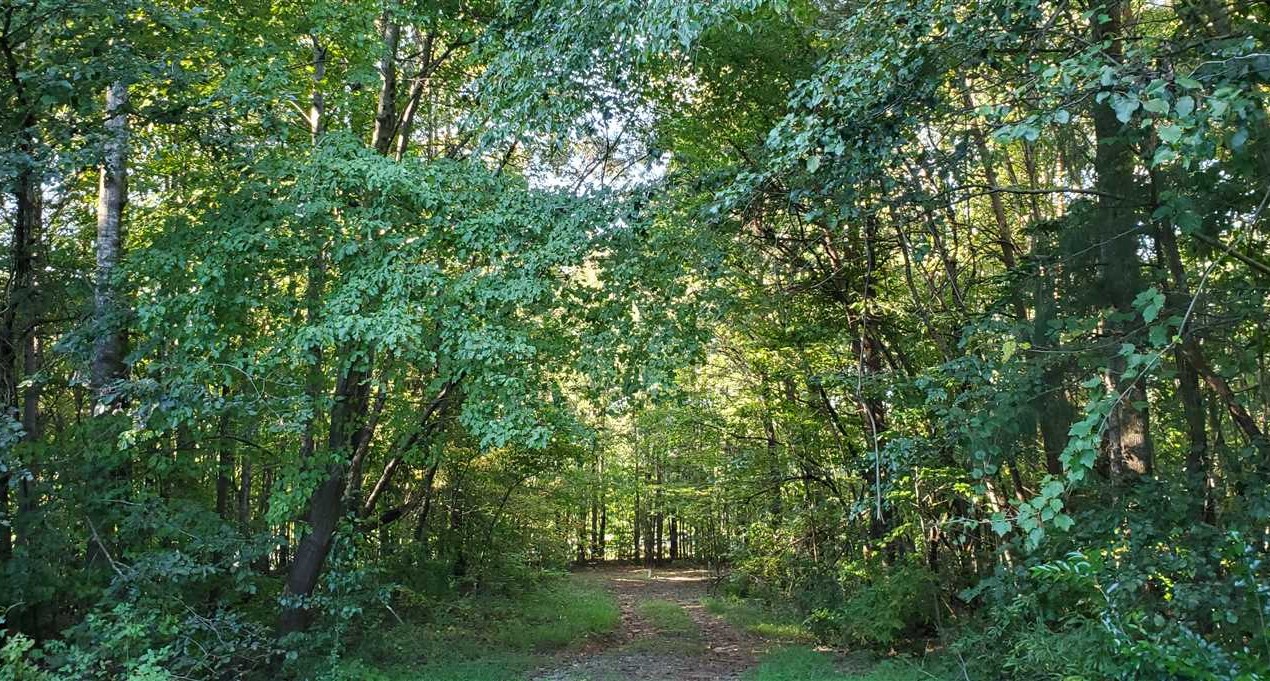 property for sale on The Land Market