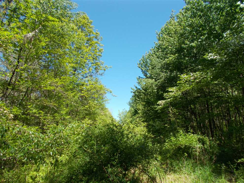 40 Acres of Land for sale in clay County, Indiana