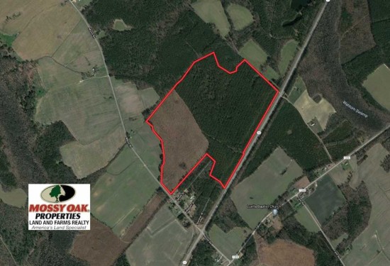 149 Acres of Land for Sale in bertie County North Carolina