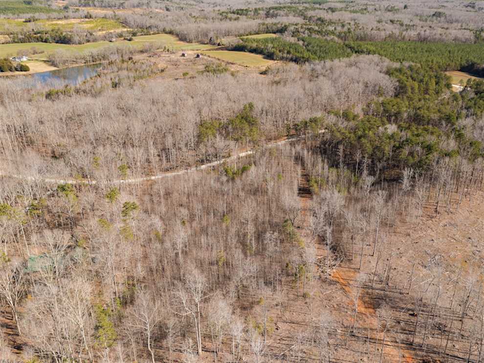 Houses and land for sale in North Carolina