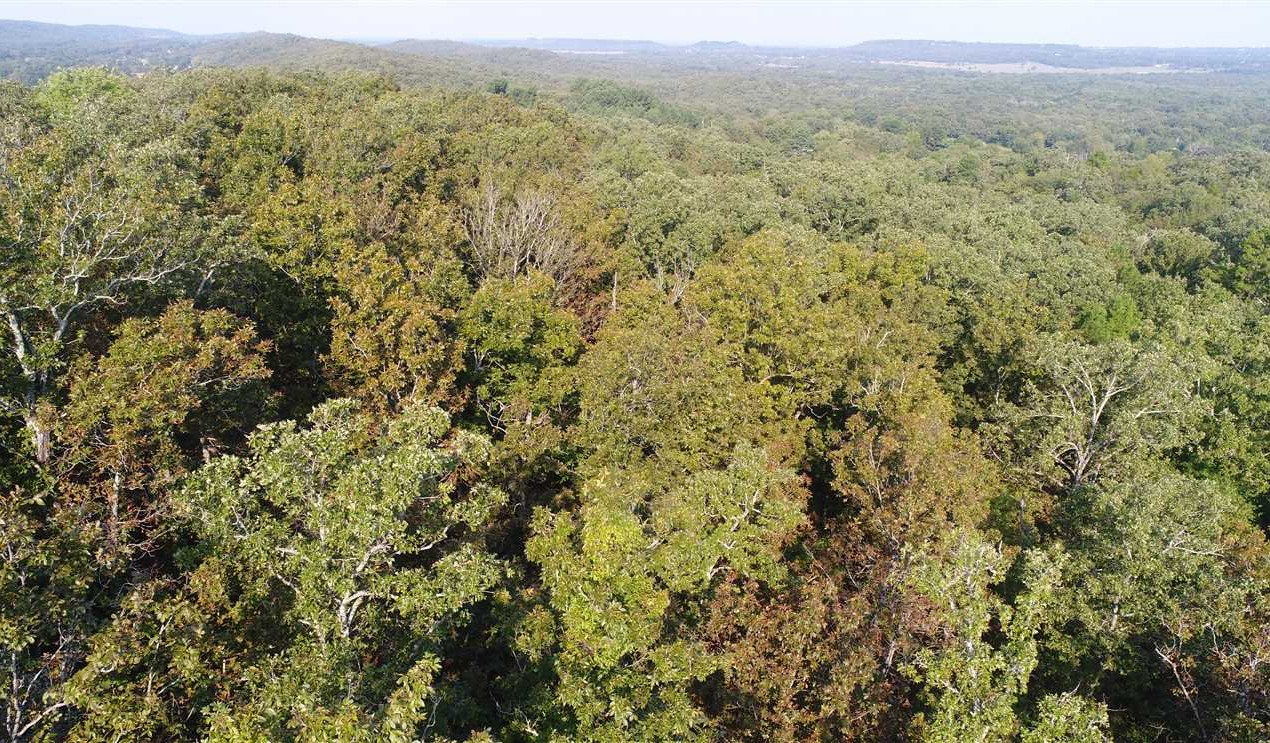 Greenwood land available for purchase