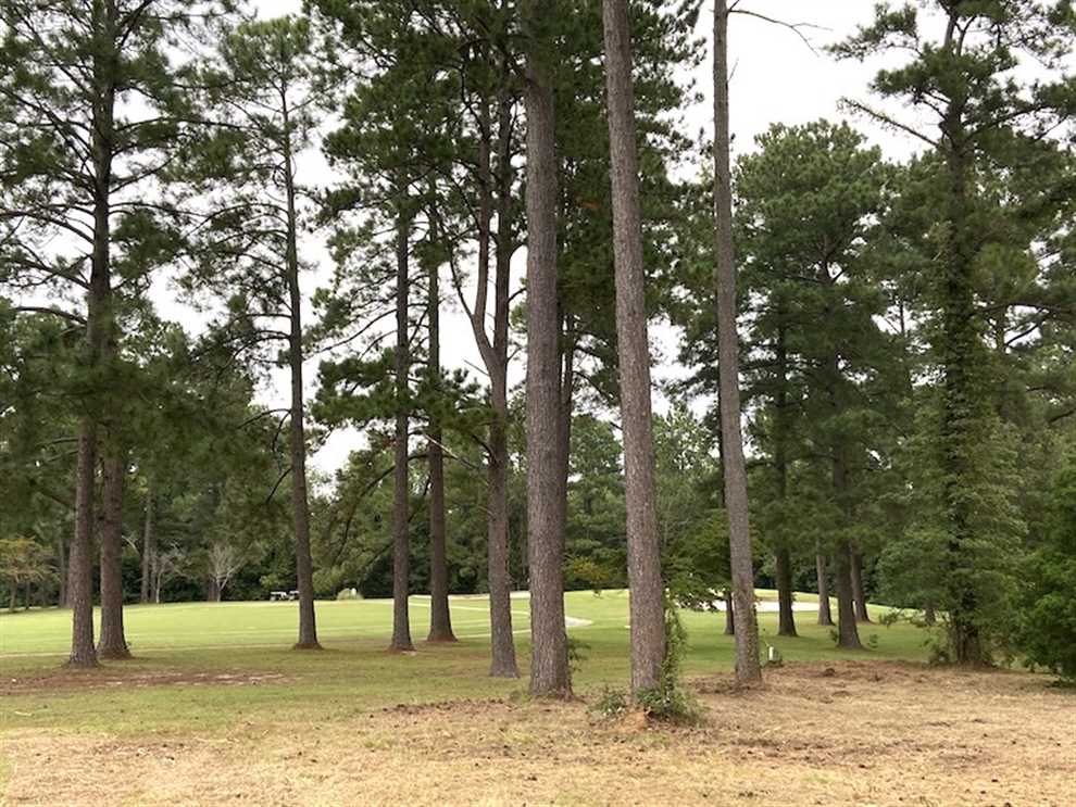 0.53 + / - Acres of Residential Land For Sale in Columbus County NC! Real estate listing