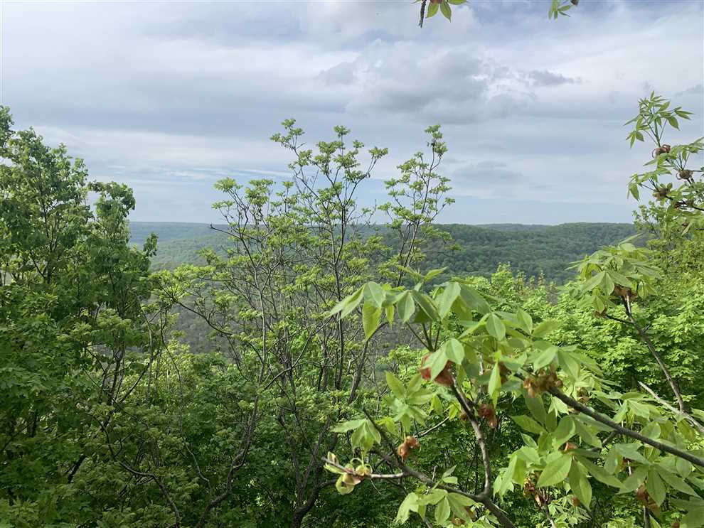 Land for sale to buy in 72959 zip code