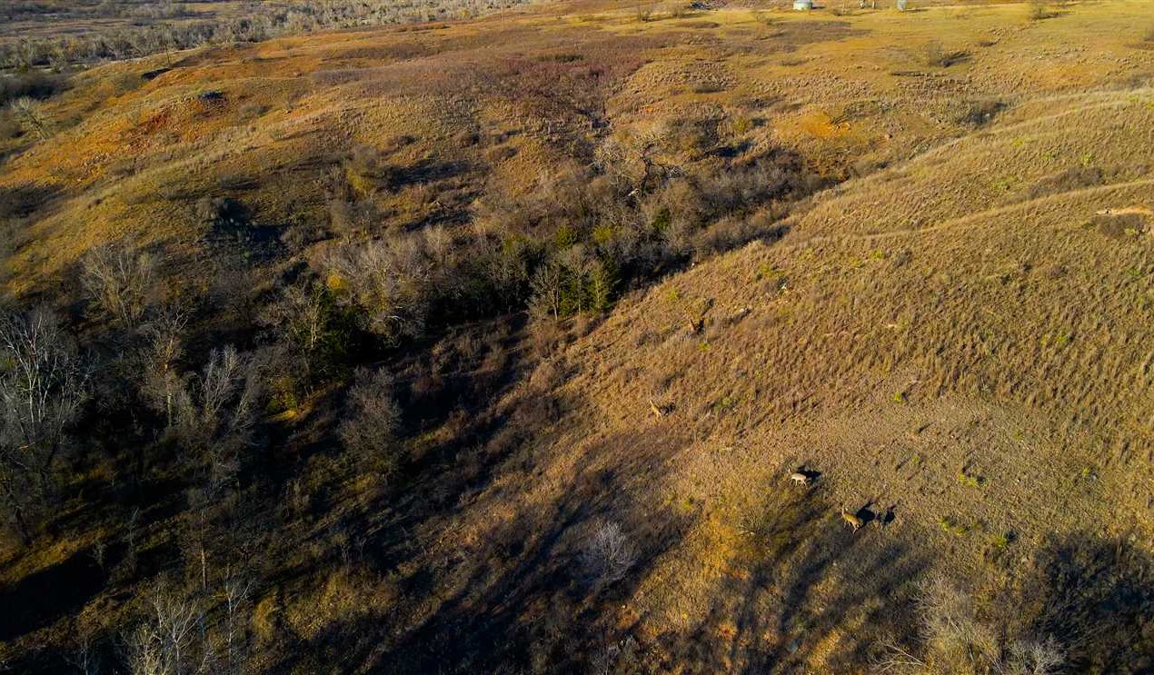 Houses and land for sale in Texas