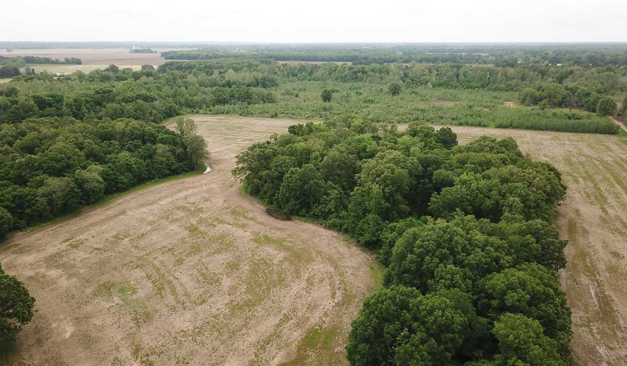 97.42 Acres Farmland and Hunting in St. Francis County, AR close to L'Anguille River bottoms. Real estate listing