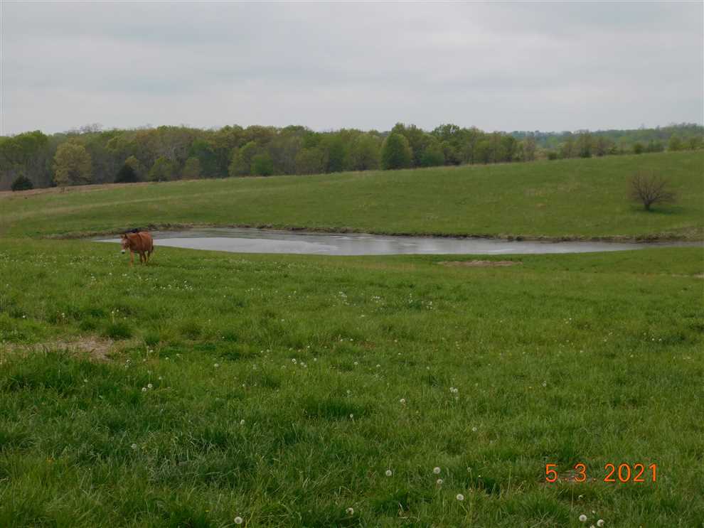 Land for sale at 9857 SW Duroc Drive