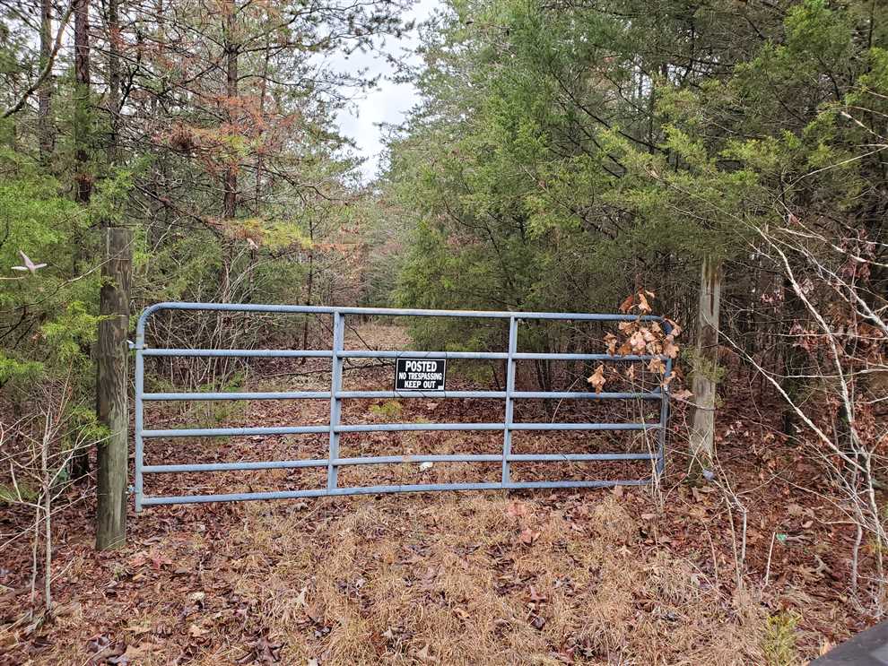 73 Acres of Land for Sale in yadkin County, North Carolina