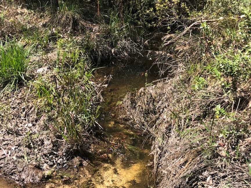71 +/- acres hunting/residential land in Leakesville, MS Real estate listing