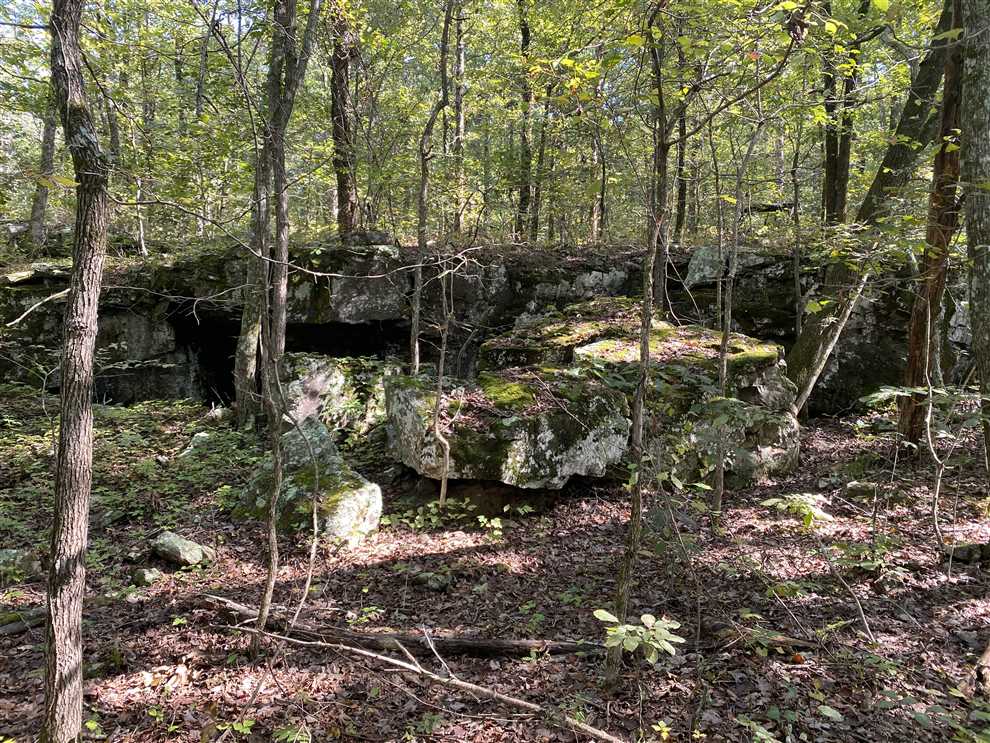 property for sale on The Land Market
