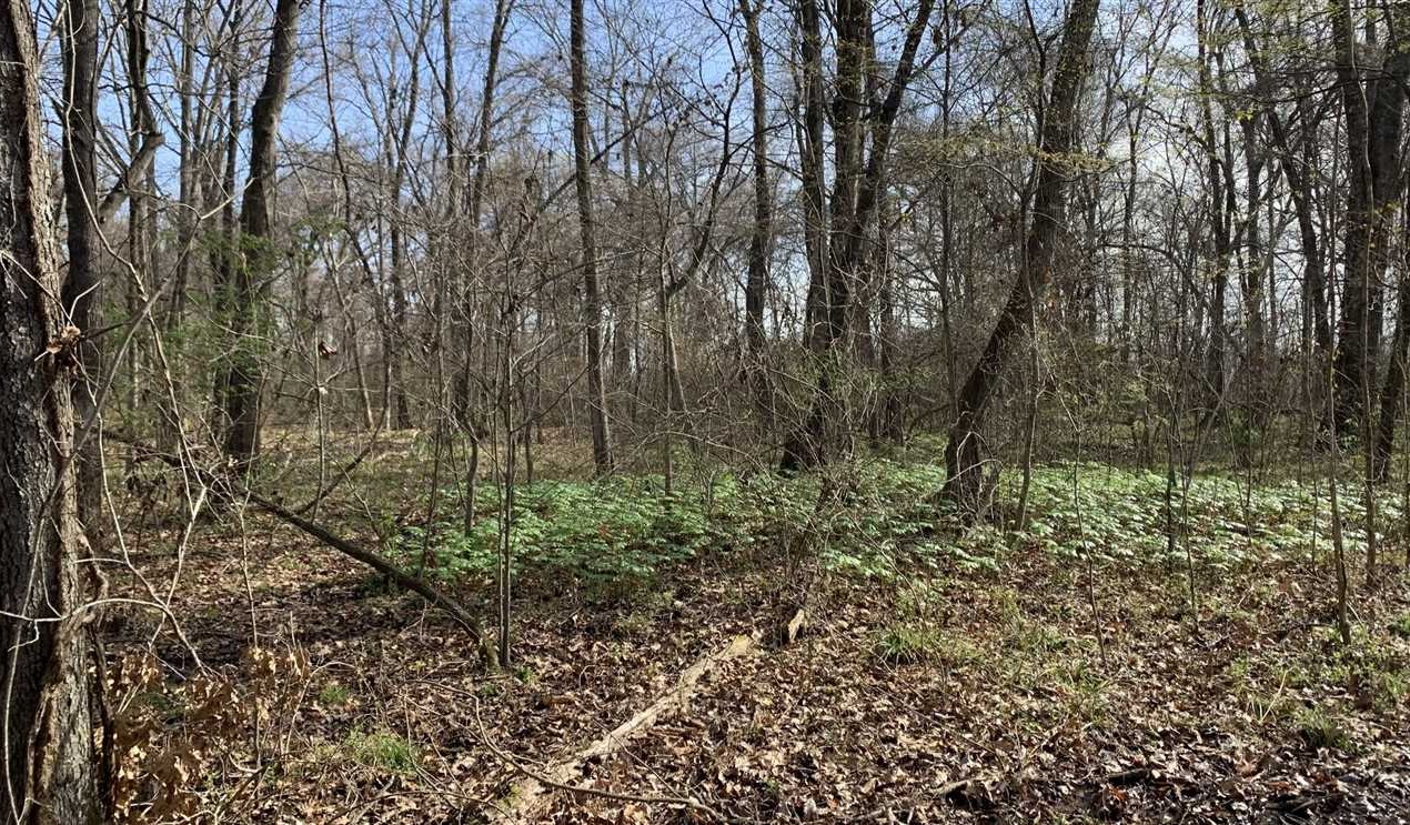 property for sale on The Land Market