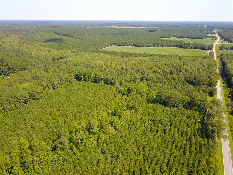 bertie County, North Carolina property for sale
