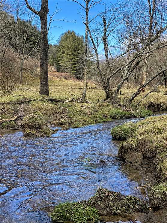 Land for sale at 00 HWY 19 East