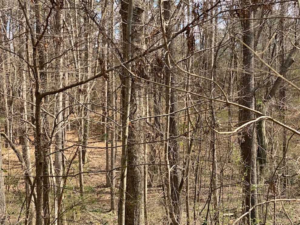 Property for sale at Lakeshore Dr