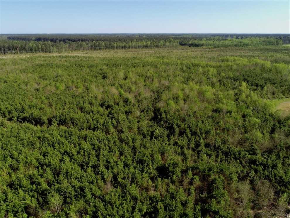 gates County, North Carolina property for sale
