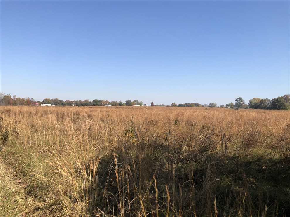 271.96 Acres of Land for sale in white County, Arkansas