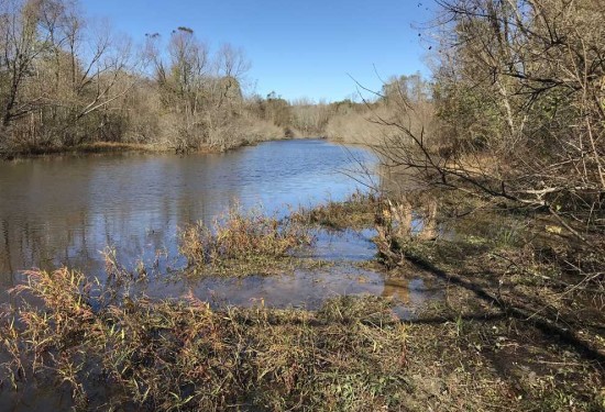 212 Acres of Land for Sale in chickasaw County Mississippi