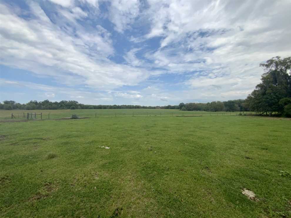 180.3 Acres of Land for Sale in madison County, Florida