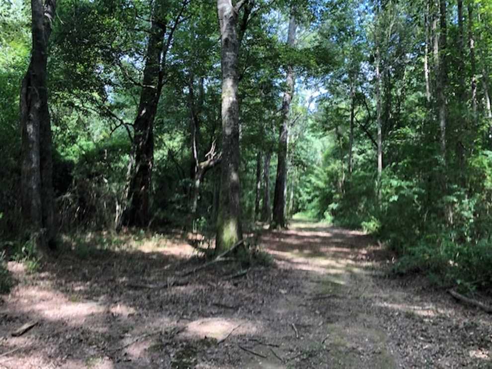 Property for sale at