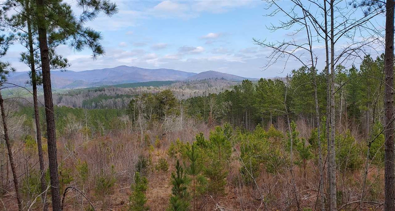 144 Acres of Land for Sale in rutherford County North Carolina